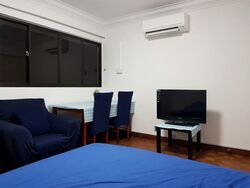 Spottiswoode Park (D2), Apartment #359391221